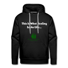 Load image into Gallery viewer, Men's Premium Hoodie - black