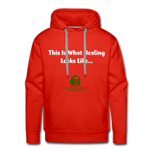 Load image into Gallery viewer, Men's Premium Hoodie - red